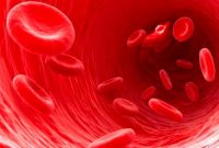 Penjelasan Sel Darah Merah (eritrosit) Terlengkap