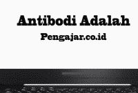 Antibodi-definisi-fungsi-jenis-struktur-cara-kerjanya